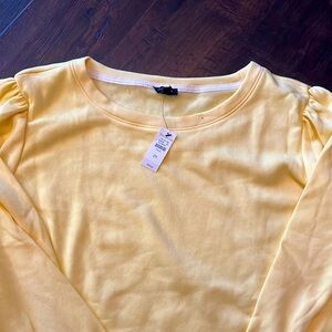 NWT sweatshirt from Talbots. Size 2X